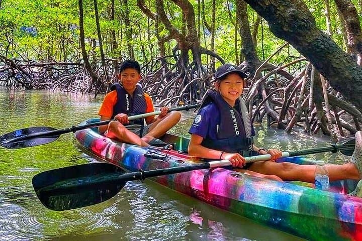 Kilim Geopark Mangrove Kayaking: Paddle the Karst Coast of Langkawi photo 4