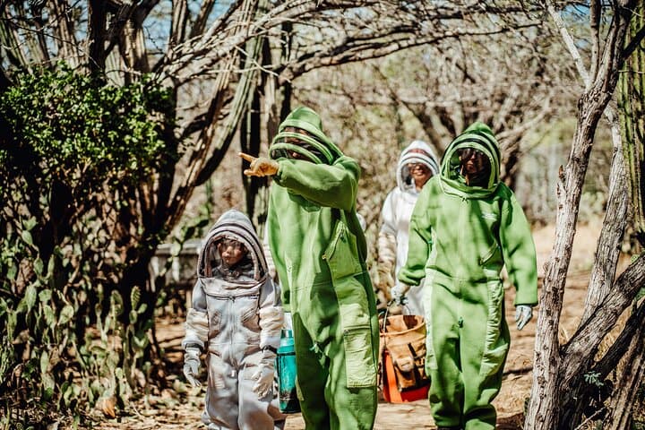 Aruba Bee Haven Private Apiary Tour: Hands-On Cunucu Beekeeping & Honey Tasting photo 6