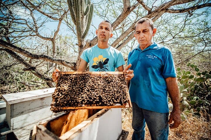 Aruba Bee Haven Private Apiary Tour: Hands-On Cunucu Beekeeping & Honey Tasting photo 2