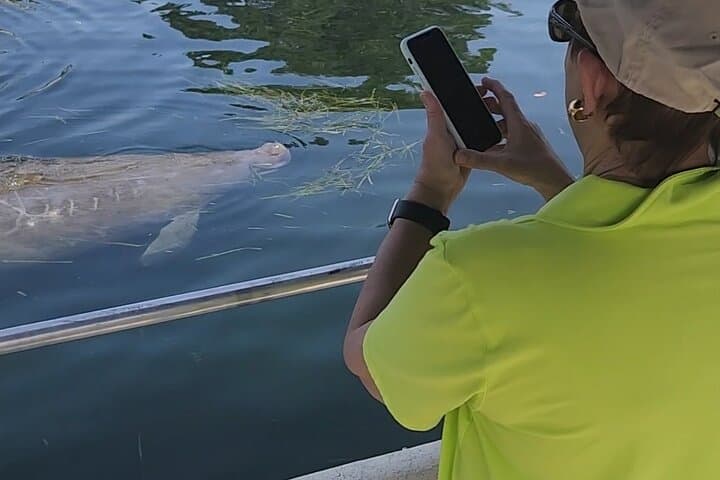 Private Crystal River Manatee Boat Tour: Kings Bay Wildlife Cruise photo 2