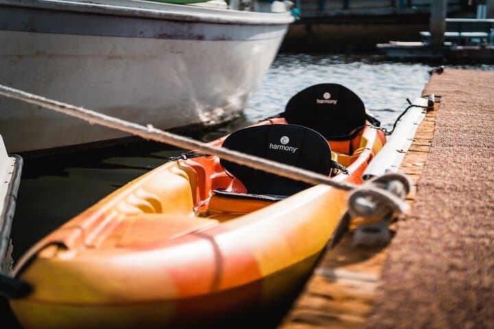 Explore Redondo Beach Harbor by Kayak — Paddle with Sea Lions and Harbor Views