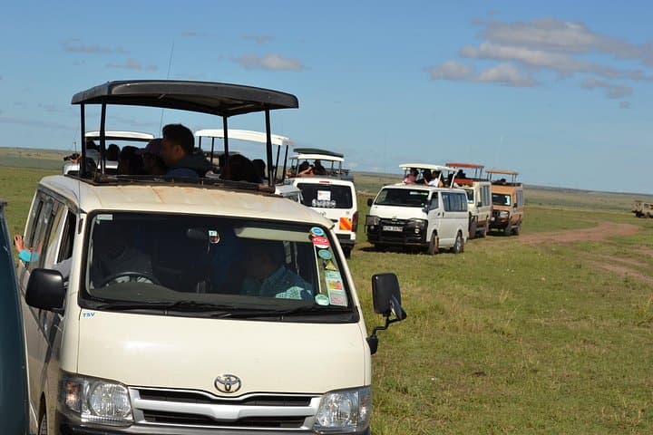 Explore Nairobi National Park: A Unique Urban Safari Near Kenya’s Capital