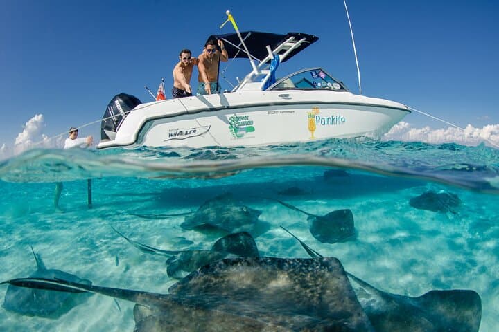 Private Boat Charter in Grand Cayman — Stingray City, Snorkel & Kaibo Lunch photo 1