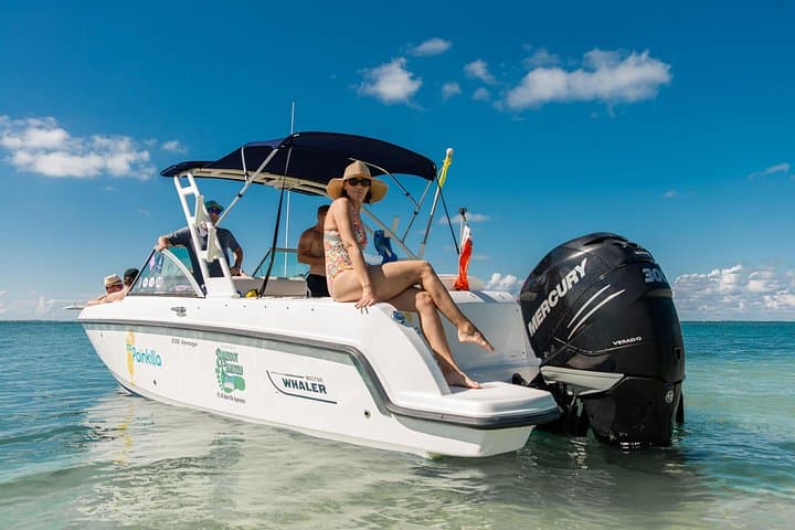 Private Boat Charter in Grand Cayman — Stingray City, Snorkel & Kaibo Lunch photo 4