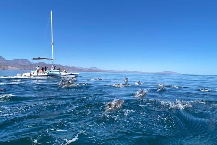 Loreto Catamaran Snorkel Cruise — Sea of Cortez Island Adventure photo 3