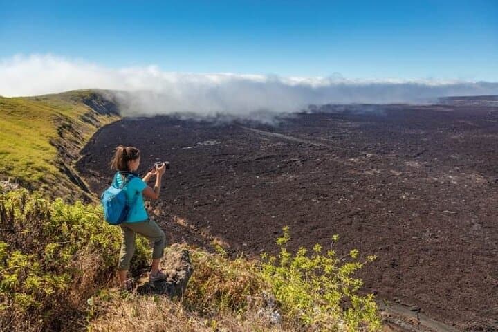 Galapagos Penguin Route: 7-Day Wildlife & Snorkel Expedition photo 5