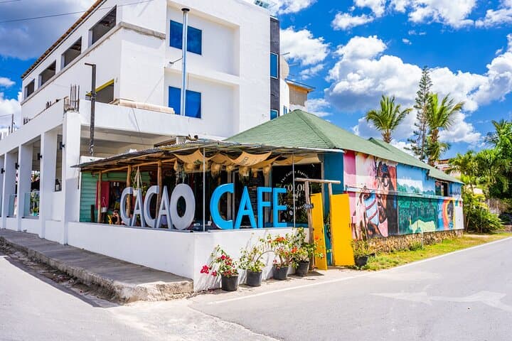 Dominicus Coffee Roasting Experience — Small-Batch Tasting in Bayahibe