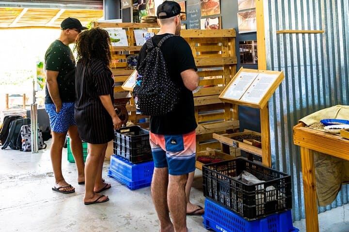Dominicus Coffee Roasting Experience — Small-Batch Tasting in Bayahibe photo 3