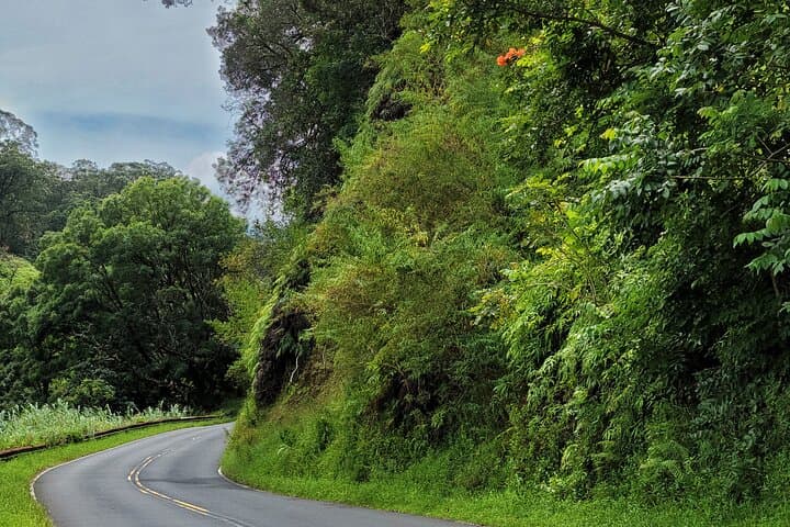Road to Hana Private Full-Day Tour: Hana Waterfalls, Black Sand Beach & Bamboo Forest photo 2