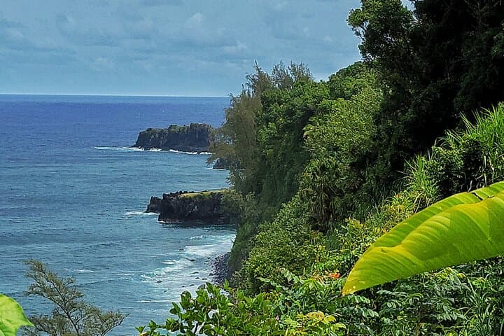 Road to Hana Private Full-Day Tour: Hana Waterfalls, Black Sand Beach & Bamboo Forest photo 4