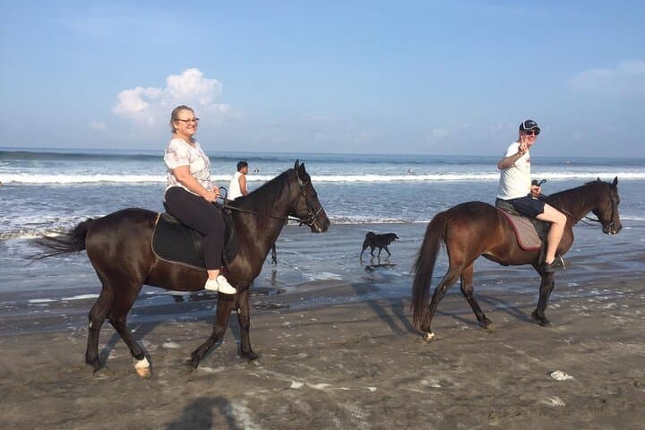 Seminyak Private Surf Lesson and Beach Horse Ride — 3-Hour Combo photo 4