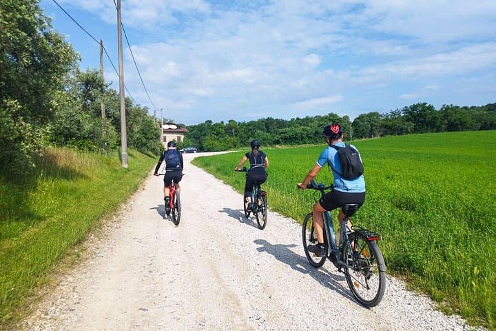 E-Bike Tour Through Sirmione’s Inland Vineyards with Winery Tasting photo 1