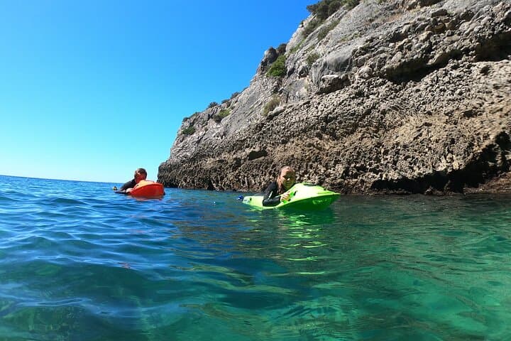 Sesimbra Seaview Board: Explore Arrábida's Coastal Caves & Marine Life