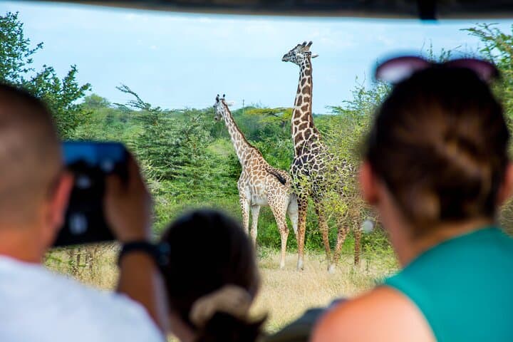 Selous 1-Day Safari from Zanzibar — Nyerere National Park Game Drive & Bush Lunch photo 5
