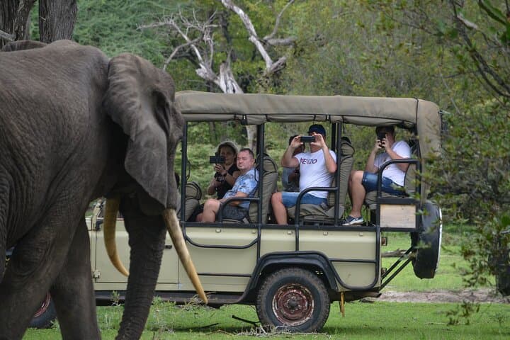 Selous 1-Day Safari from Zanzibar — Nyerere National Park Game Drive & Bush Lunch photo 6