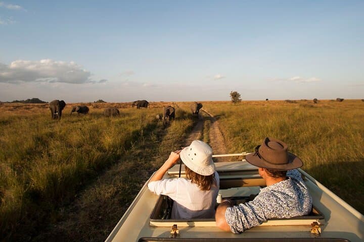 7-Day Active Safari: Tarangire, Serengeti & Ngorongoro Crater Adventure photo 1
