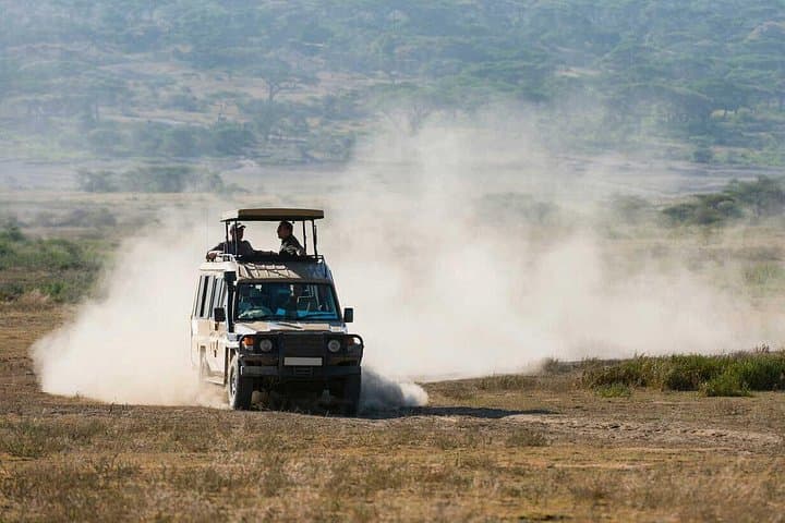 7-Day Active Safari: Tarangire, Serengeti & Ngorongoro Crater Adventure photo 2