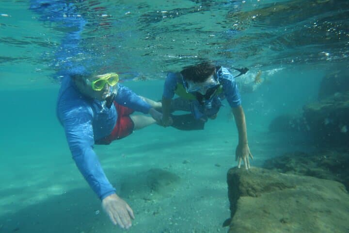 Peanut Island Snorkel and Paddle Adventure from Riviera Beach