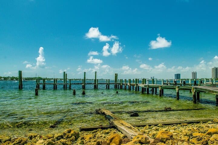 Peanut Island Snorkel and Paddle Adventure from Riviera Beach photo 2