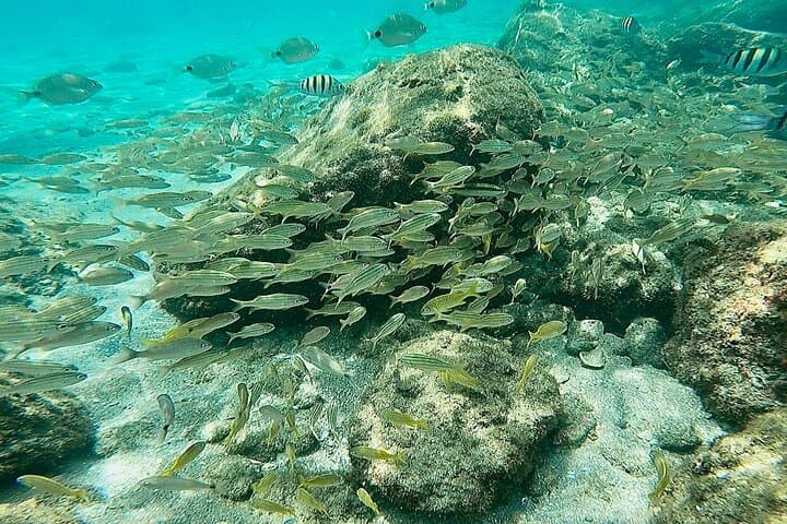 Peanut Island Snorkel and Paddle Adventure from Riviera Beach photo 3