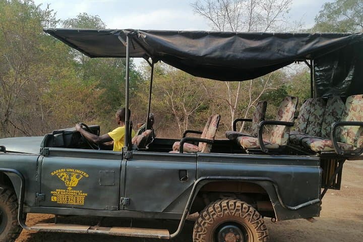 Private Full-Day Elephant Safari in Mole National Park — Daycation from Tamale photo 2