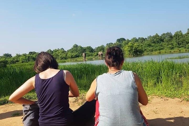 Private Full-Day Elephant Safari in Mole National Park — Daycation from Tamale photo 3