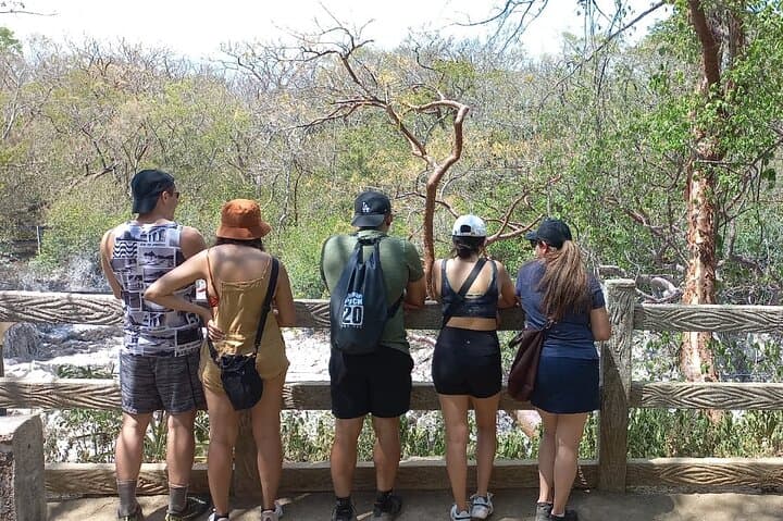 Rincón de la Vieja Volcano Hike & Waterfall Adventure — Day Tour from Liberia photo 3