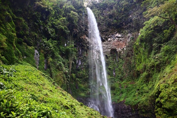 Mambori Waterfalls Day Hike: Kilimanjaro Foothills Forest Walk from Moshi