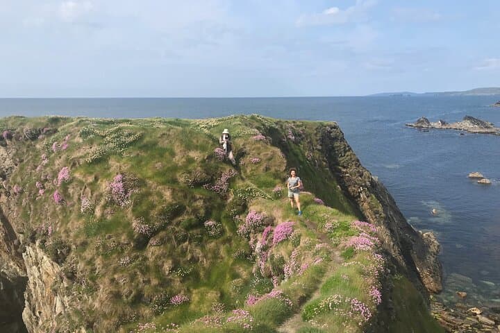 Toe Head Clifftop Hike: 7km Wild Atlantic Way Walk in West Cork photo 4