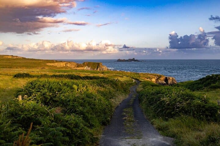 Toe Head Clifftop Hike: 7km Wild Atlantic Way Walk in West Cork photo 3