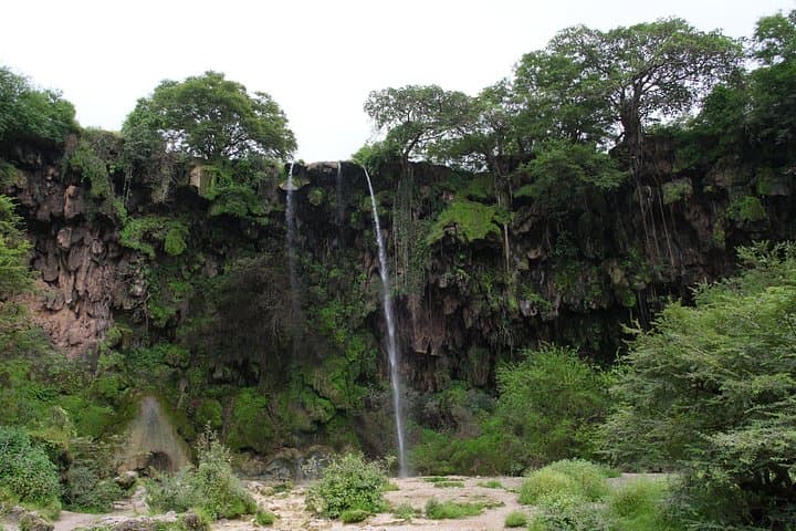 Salalah Khareef Waterfalls Tour: Wadi Darbat, Ayn Athoum & Koor Valley photo 2