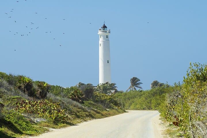 Punta Sur & Clear Boat Adventure — ATV, Clear-Boat Snorkel, Tequila & Playa Uvas photo 6