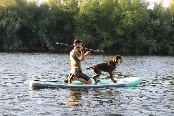 Float the Lower Salt River on a Paddle Board — Wild Horses, Easy Currents, and Self-Guided Routes photo 3