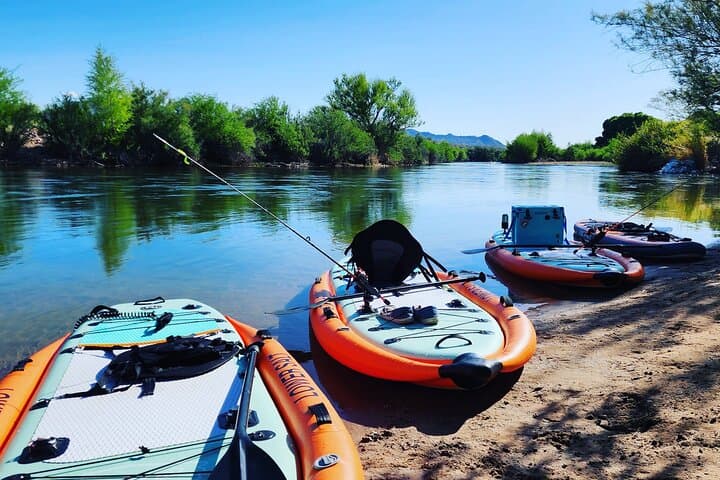 Float the Lower Salt River on a Paddle Board — Wild Horses, Easy Currents, and Self-Guided Routes