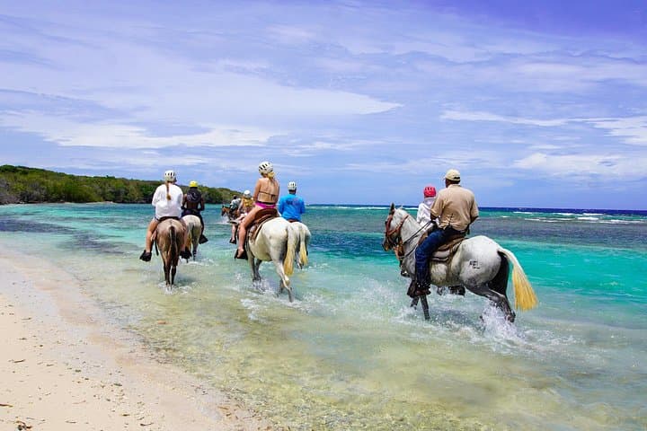 Horseback Riding at Mahogany Bay: Roatán Mangroves & Tortuga Point Trail photo 3