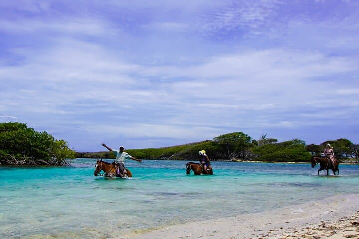 ATV Safari and Horseback Adventure at Mahogany Bay — Roatán Jungle to Shore photo 2