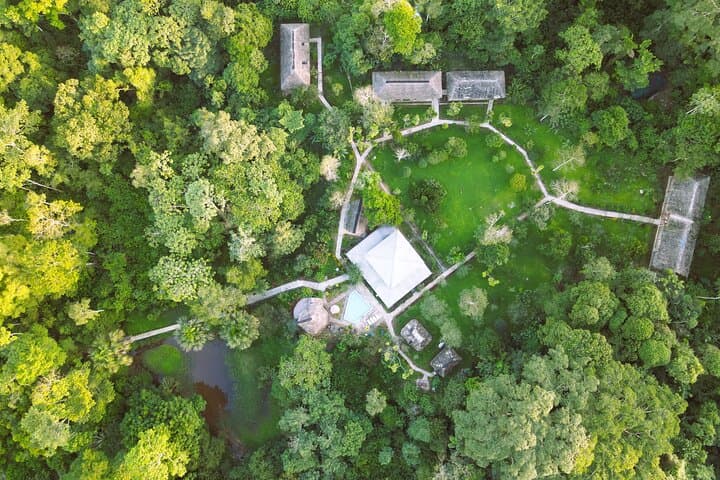 5-Day Amazon Adventure at Suchipakari Lodge — From Quito into the Napo photo 6