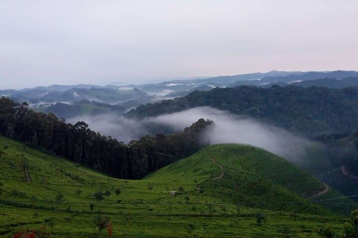 3-Day Private Gorilla Trek Through Rwanda's Five Volcanoes photo 2