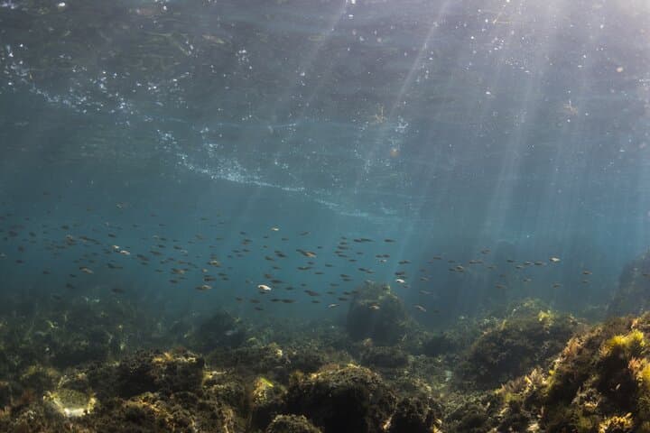 Costa Brava Double Discover Scuba Diving — PADI Boat Baptism to 12m photo 5