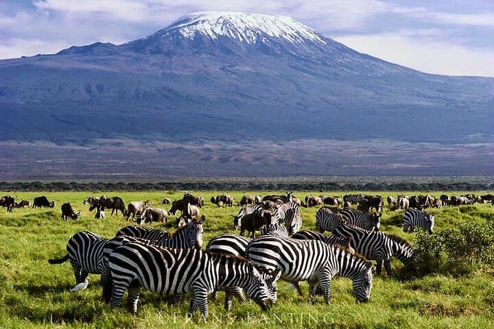 2-Day Private Amboseli Safari — Elephants, Kilimanjaro Views & Maasai Encounters photo 4