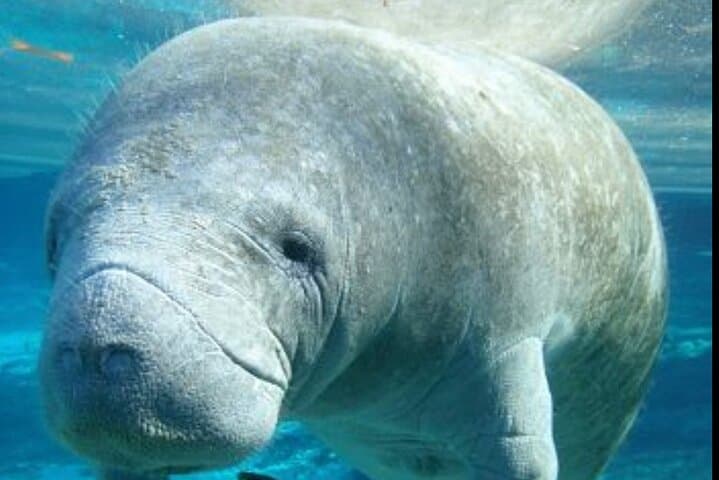 Discover Scuba in Costa Maya: Guided Introductory Ocean Dive in Mahahual photo 2