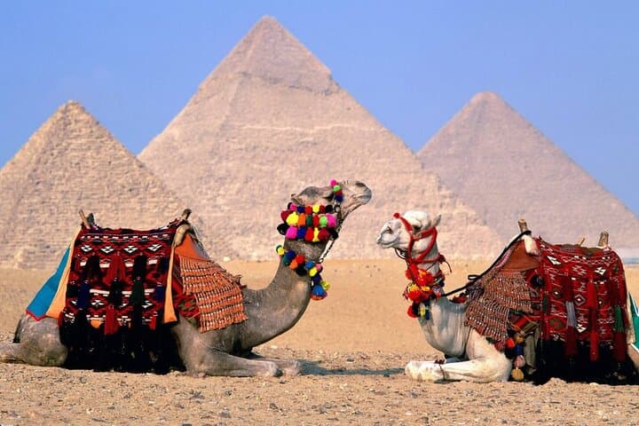 Day with the Pharaohs: Private Giza Pyramids & Egyptian Museum Tour photo 3