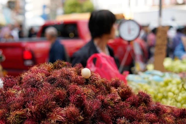 Manhattan Chinatown Food Tour with a Chef — Walking Tastes & History photo 4