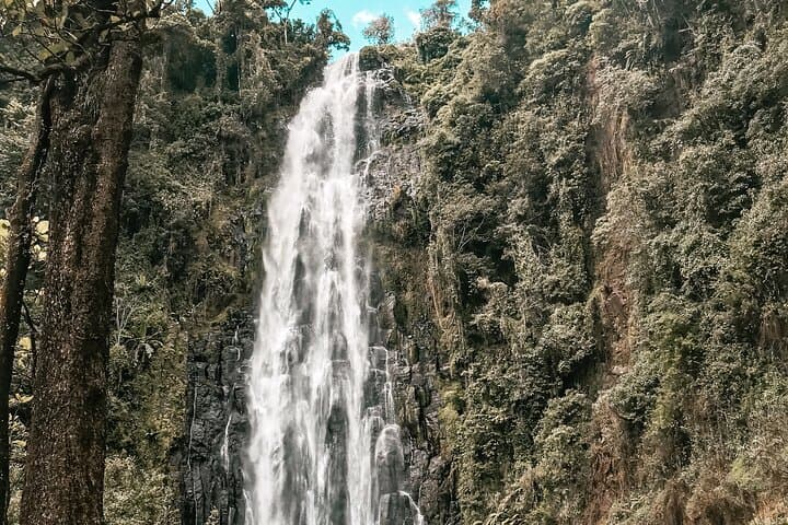 4-Day Kilimanjaro Cultural Tour: Hike, Safari & Hot Springs from Moshi