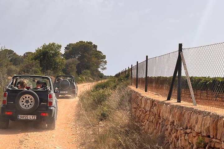 Self-Drive 4x4 Jeep Safari in Mallorca: Off-Road Trails & Coastal Coves photo 2