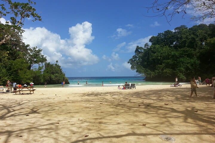 Ocho Rios to Port Antonio & Frenchman's Cove: Private Day-Trip Guide