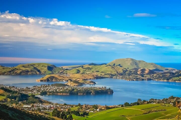 Half-Day Private Dunedin City, Sights & Wildlife Tour on the Otago Peninsula photo 4