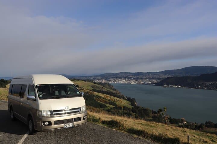 Half-Day Private Dunedin City, Sights & Wildlife Tour on the Otago Peninsula photo 1