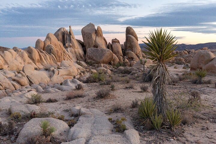 Joshua Tree National Park Trip Planner — Routes, Stops & Practical Tips photo 4