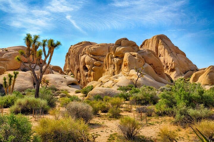 Drive Joshua Tree & Palm Springs: Self-Guided Audio Tour of Desert Modernism and Rock Formations photo 6